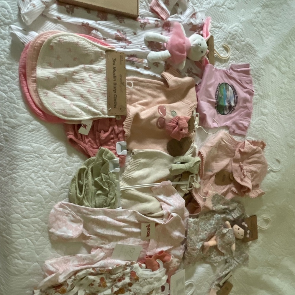 Bundle NWT Baby Girl Clothes 3-9mo